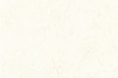 Anuj Grand Porcelain Slab 2400x1200mm — Golden Portoro Luxe