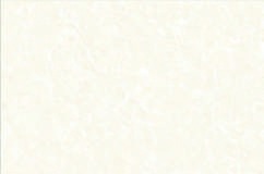 Anuj Grand Porcelain Slab 2400x1200mm — Crema Marfil Royal