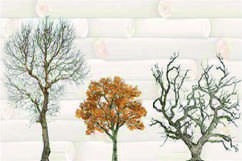 Anuj Grand Porcelain Slab 2400x1200mm — Silk Georgette Ivory