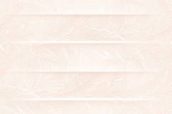 Anuj Grand Porcelain Slab 2400x1200mm — Calacatta Extra