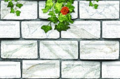 Anuj Grand Porcelain Slab 2400x1200mm — Grigio Orobico