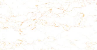 Anuj Grand Porcelain Slab 2400x1200mm — Statuario Venato