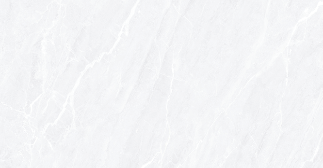 Anuj Grand Porcelain Slab 2400x1200mm — Crema Marfil Royal