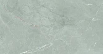 Anuj Grand Porcelain Slab 2400x1200mm — Rosso Levanto