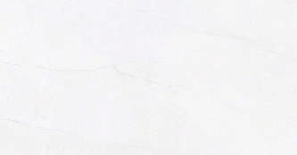 Anuj Grand Porcelain Slab 2400x1200mm — Castano Brown