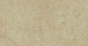 Anuj Grand Porcelain Slab 2400x1200mm — Nero Marquina