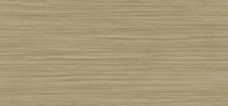 Anuj Grand Porcelain Slab 2400x1200mm — Botticino Classico