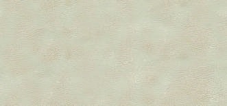Anuj Grand Porcelain Slab 2400x1200mm — Panda White Bookmatch