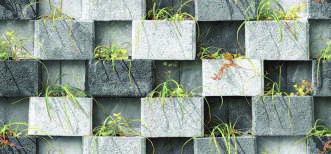 Anuj Grand Porcelain Slab 2400x1200mm — Arabescato Vagli