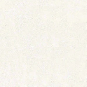 Anuj Tactile Carving Slab 1600x800mm — Dover White Quartzite
