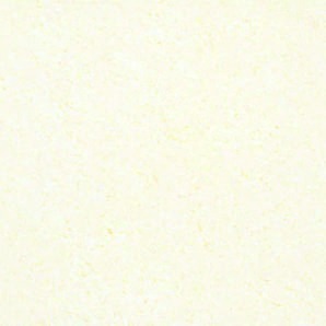 Anuj Tactile Carving Slab 1600x800mm — Taj Mahal Quartzite