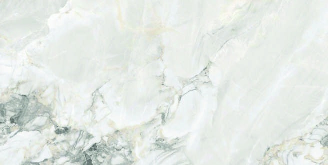 Anuj Tactile Carving Slab 1600x800mm — Palissandro Bluette