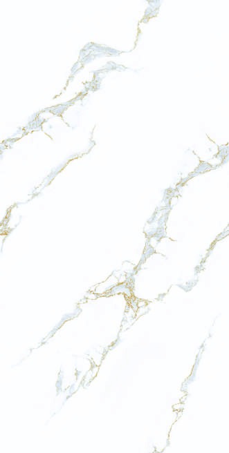 Anuj Tactile Carving Slab 1600x800mm — Nero Marquina