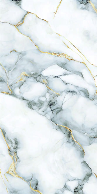 Anuj Tactile Carving Slab 1600x800mm — Bianco Lasa Covelano