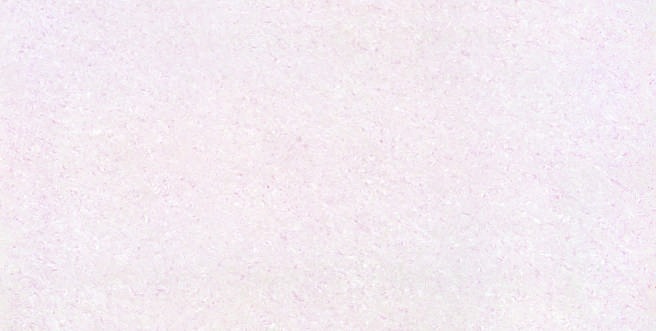 Anuj Tactile Carving Slab 1600x800mm — Arabescato Vagli