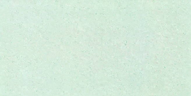 Anuj Tactile Carving Slab 1600x800mm — Dover White Quartzite
