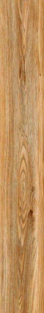 Anuj Tactile Carving Slab 1600x800mm — Sahara Noir Velvet