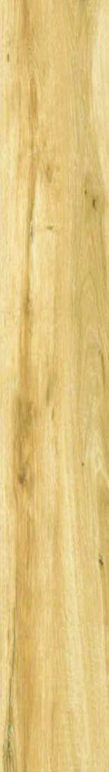 Anuj Tactile Carving Slab 1600x800mm — Crema Marfil Royal