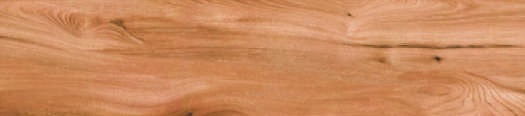 Anuj 15mm Solid Vitrified Kitchen Top 2400x800mm — Golden Portoro Luxe