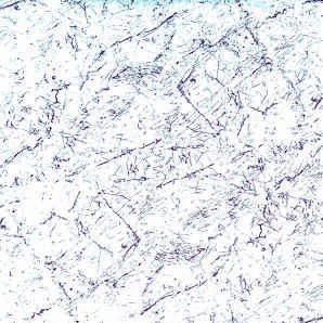 Anuj Nano Polish Vitrified Floor Tile 600x600mm — Agwar Ivory Double Charge