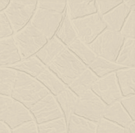 Anuj Nano Polish Vitrified Floor Tile 600x600mm — Desert Sand Polished Tile