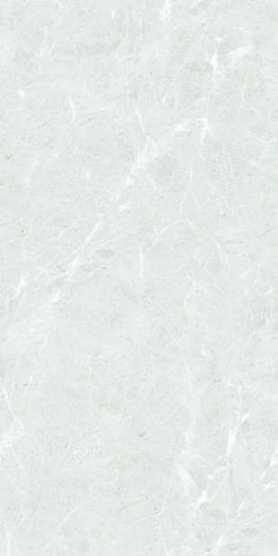 Anuj PGVT 1200x600mm High Gloss — Model 24024 Bronze Pulpis