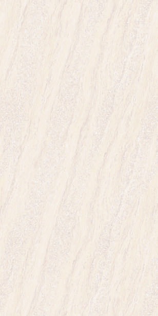 Anuj PGVT 1200x600mm High Gloss — Model 24027 Travertino Silver