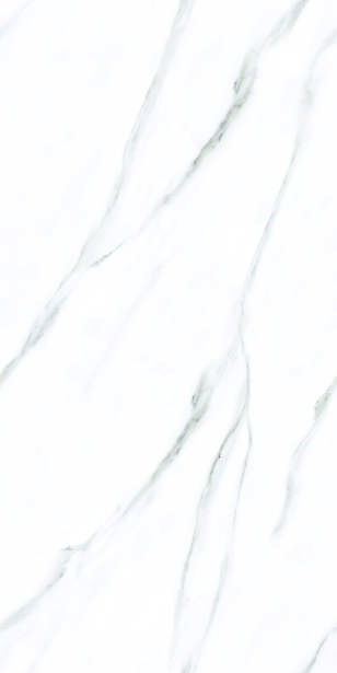 Anuj PGVT 1200x600mm High Gloss — Model 24035 Lappato Conway Grey