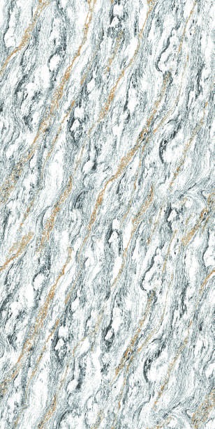 Anuj PGVT 1200x600mm High Gloss — Model 24036 Carvin Abstract Silver
