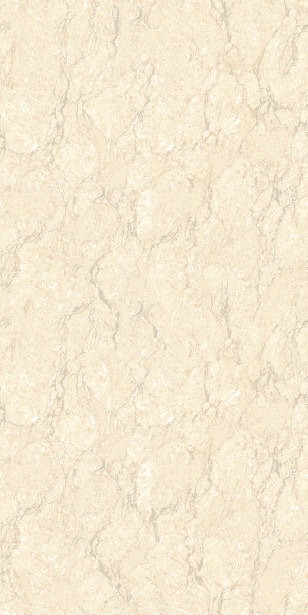 Anuj PGVT 1200x600mm High Gloss — Model 24042 Nero Antico Silk