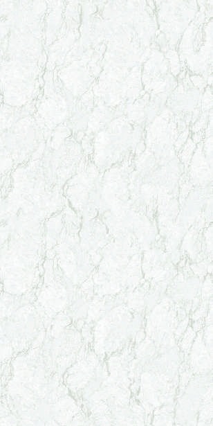 Anuj PGVT 1200x600mm High Gloss — Model 24043 Botticino Beige Soft