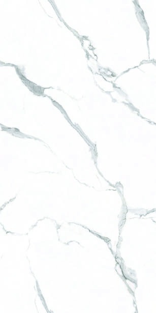 Anuj PGVT 1200x600mm High Gloss — Model 24050 Travertino Silver