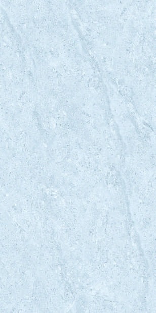Anuj PGVT 1200x600mm High Gloss — Model 24051 Bianco Statuario