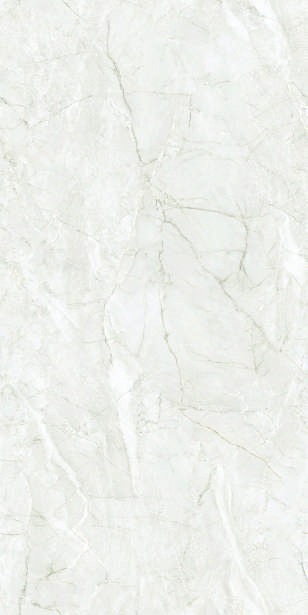 Anuj PGVT 1200x600mm High Gloss — Model 24053 Golden Portoro