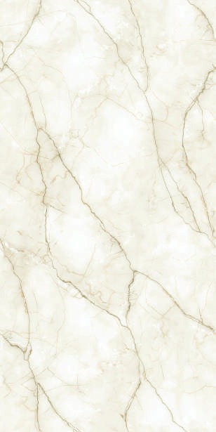 Anuj PGVT 1200x600mm High Gloss — Model 24055 Urban Concrete Ash