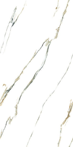Anuj PGVT 1200x600mm High Gloss — Model 24061 ASV Blaze White Gold