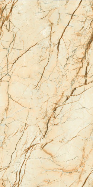 Anuj PGVT 1200x600mm High Gloss — Model 24064 Nero Antico Silk