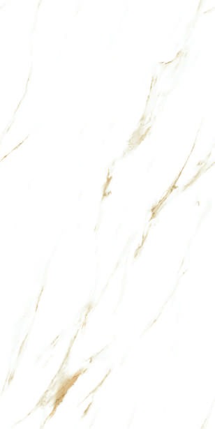 Anuj PGVT 1200x600mm High Gloss — Model 24078 Urban Concrete Ash