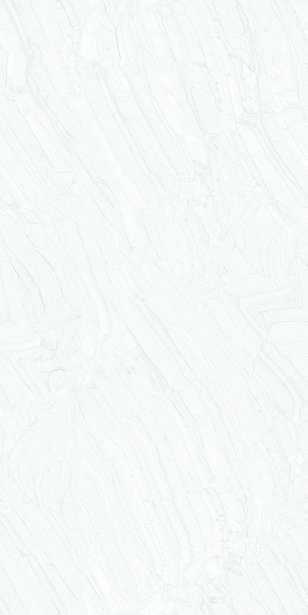 Anuj PGVT 1200x600mm High Gloss — Model 24079 Lappato Jaiswal Sand