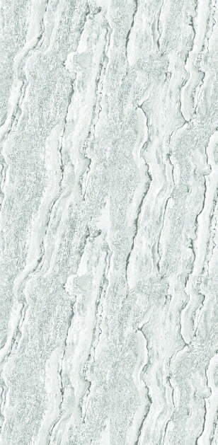 Anuj PGVT 1200x600mm High Gloss — Model 24002 Nero Antico Silk