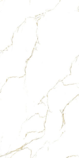 Anuj PGVT 1200x600mm High Gloss — Model 24005 Silver Shadow Travertine