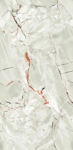 Anuj PGVT 1200x600mm High Gloss — Model 24010 Travertino Silver