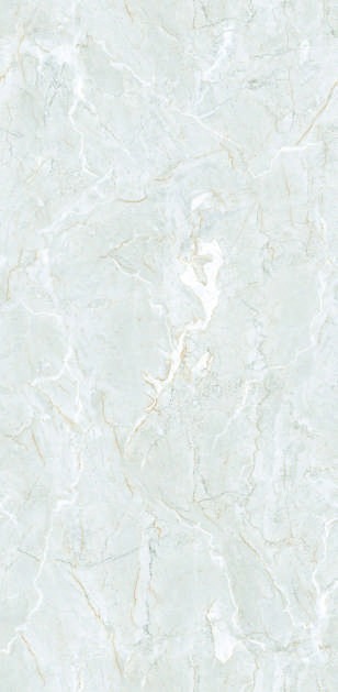 Anuj PGVT 1200x600mm High Gloss — Model 24015 Urban Concrete Ash