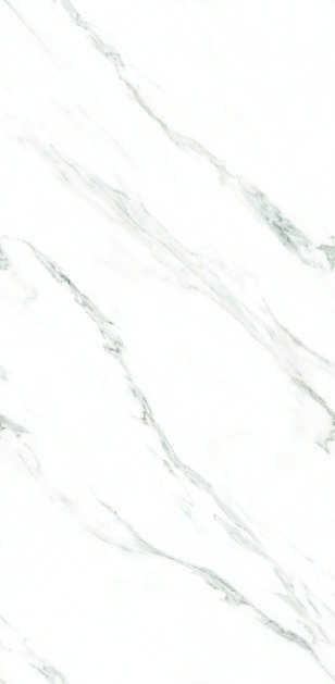 Anuj PGVT 1200x600mm High Gloss — Model 24021 ASV Blaze White Gold