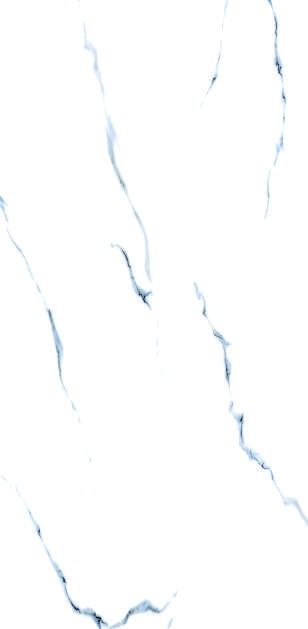 Anuj PGVT 1200x600mm High Gloss — Model 24023 Pietra Graphite
