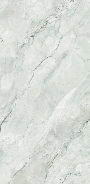 Anuj PGVT 1200x600mm High Gloss — Model 24024 Nero Antico Silk