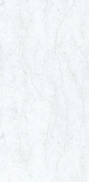 Anuj PGVT 1200x600mm High Gloss — Model 24029 Bronze Pulpis