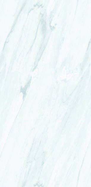 Anuj PGVT 1200x600mm High Gloss — Model 24032 Travertino Silver