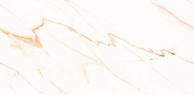 Anuj PGVT 1200x600mm High Gloss — Model 24040 Lappato Conway Grey