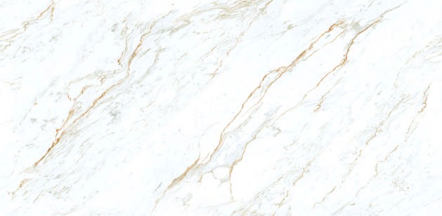 Anuj PGVT 1200x600mm High Gloss — Model 24041 Carvin Abstract Silver